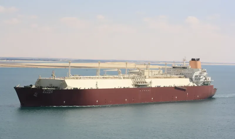 AL HAMLA General Cargo IMO 9337743 photo 3