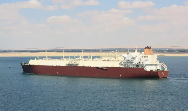 AL HAMLA General Cargo IMO 9337743 photo 4