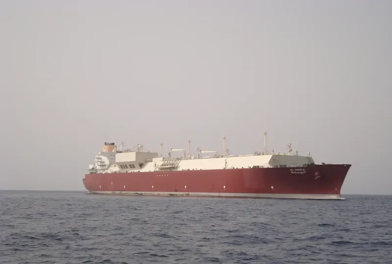 AL HAMLA General Cargo IMO 9337743 photo 6