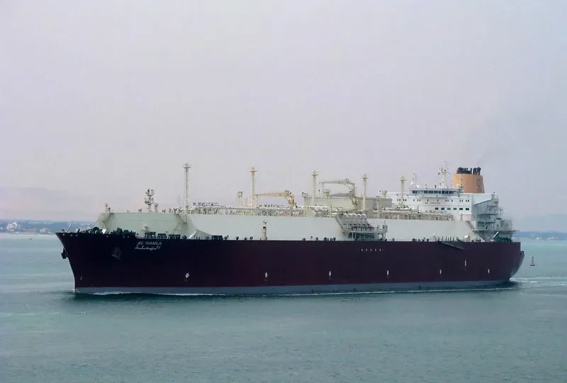 AL HAMLA General Cargo IMO 9337743 photo 8