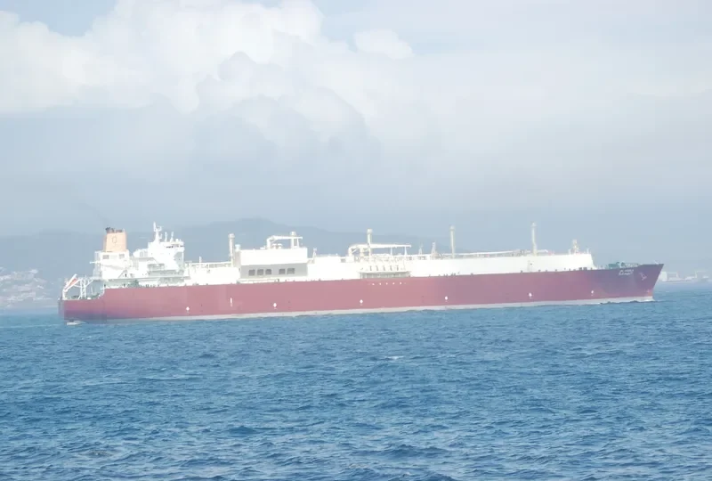 AL HAMLA General Cargo IMO 9337743 photo 10