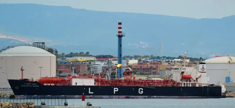 RHOURD EL HAMRA General Cargo IMO 9337793 photo 9