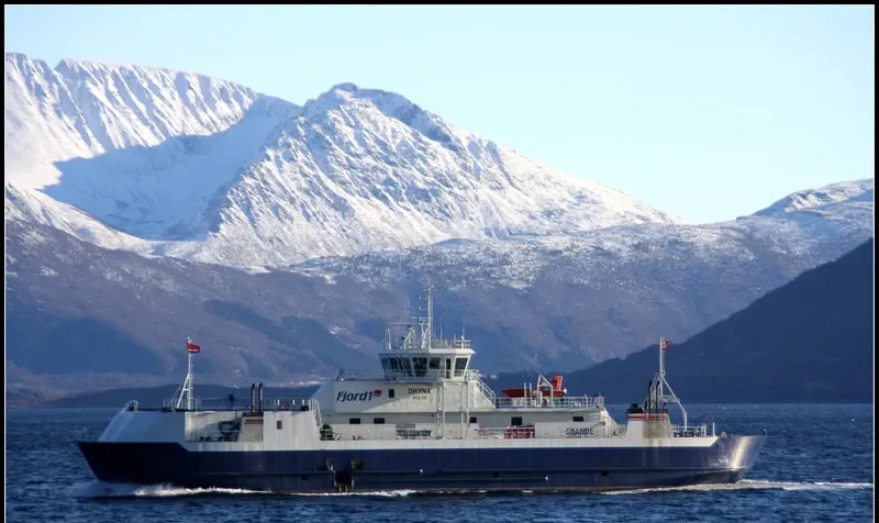 DRYNA Ro-Ro IMO 9337884 photo 7