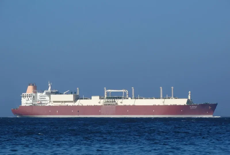 AL RUWAIS General Cargo IMO 9337951 photo 2