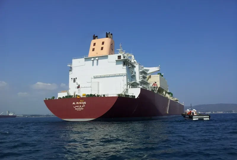 AL RUWAIS General Cargo IMO 9337951 photo 4