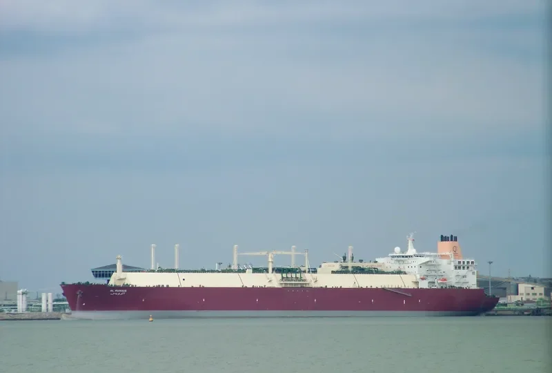 AL RUWAIS General Cargo IMO 9337951 photo 6