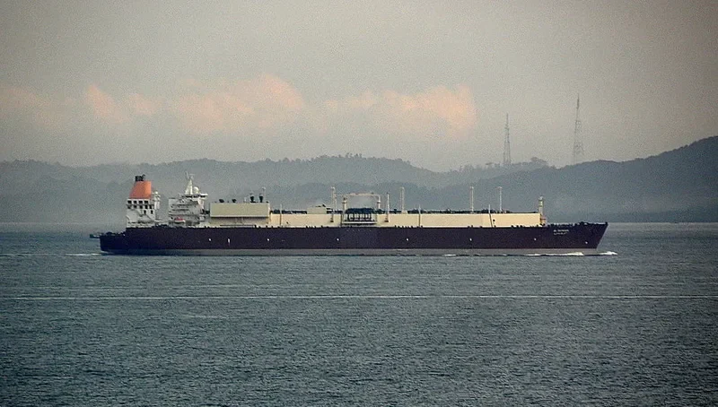 AL RUWAIS General Cargo IMO 9337951 photo 8