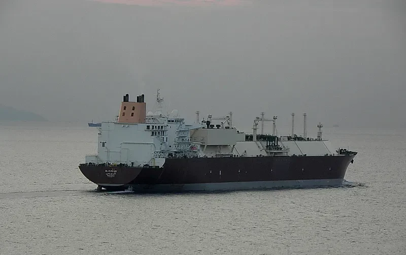 AL RUWAIS General Cargo IMO 9337951 photo 9