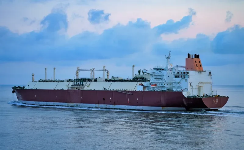 AL RUWAIS General Cargo IMO 9337951 photo 10