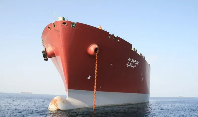 AL SAFLIYA General Cargo IMO 9337963 photo 20