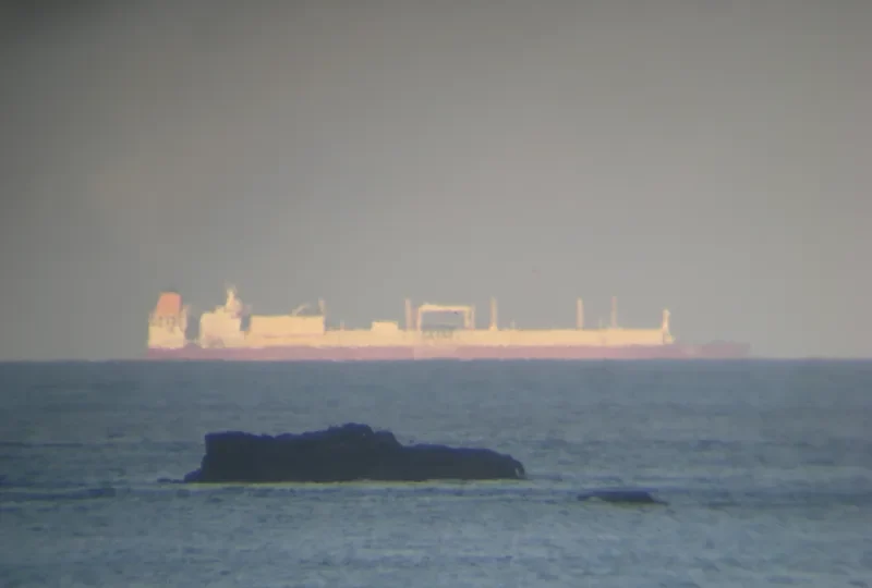 DUHAIL General Cargo IMO 9337975 photo 5