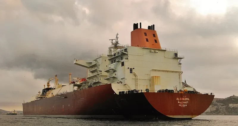 AL GHARIYA General Cargo IMO 9337987 photo 2