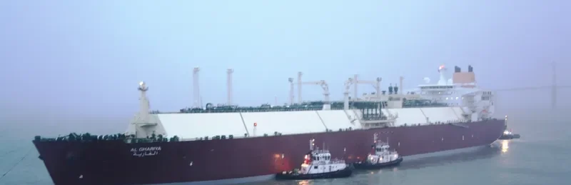 AL GHARIYA General Cargo IMO 9337987 photo 3