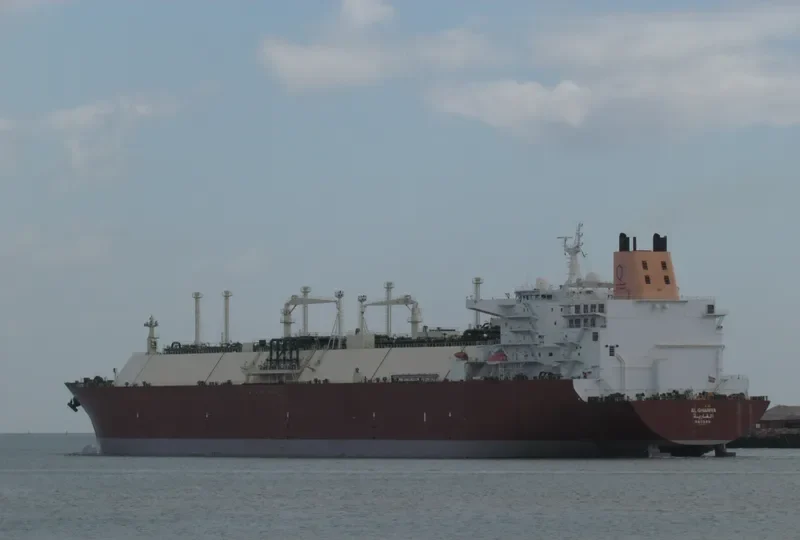 AL GHARIYA General Cargo IMO 9337987 photo 5