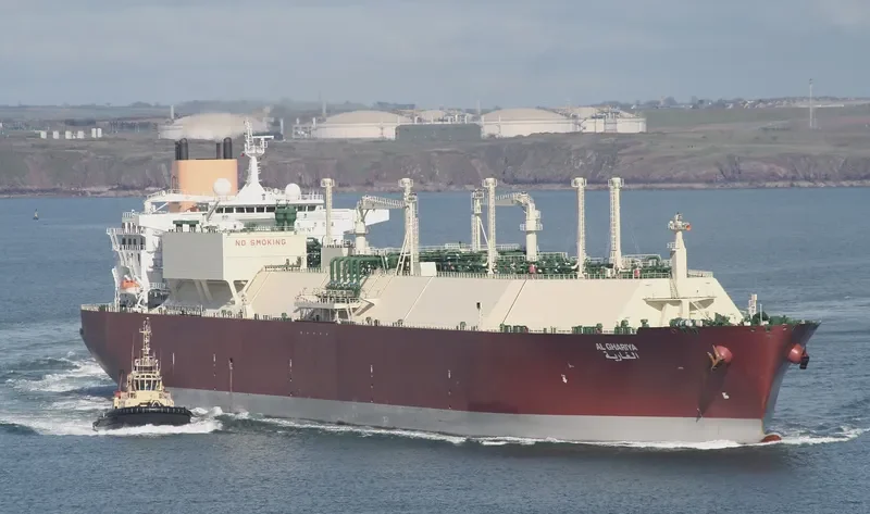 AL GHARIYA General Cargo IMO 9337987 photo 7