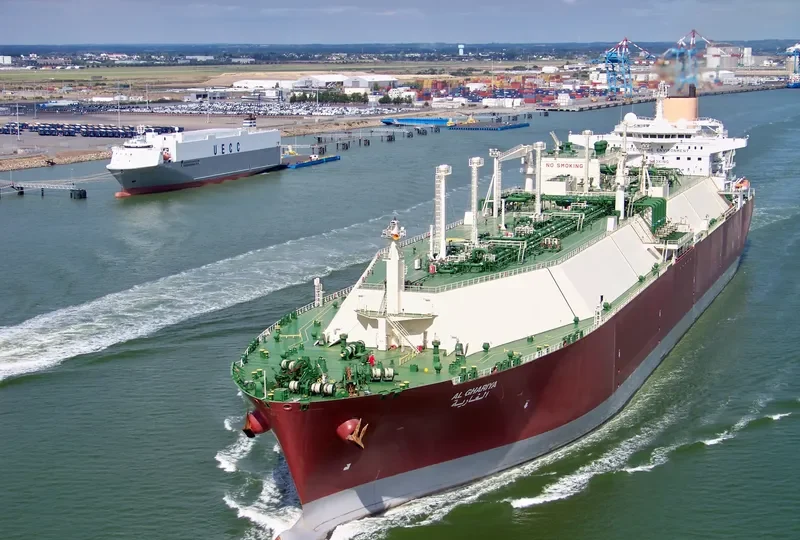 AL GHARIYA General Cargo IMO 9337987 photo 8