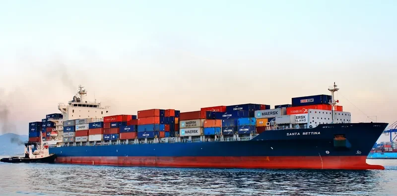 SANTA BETTINA Container Ship IMO 9338084
