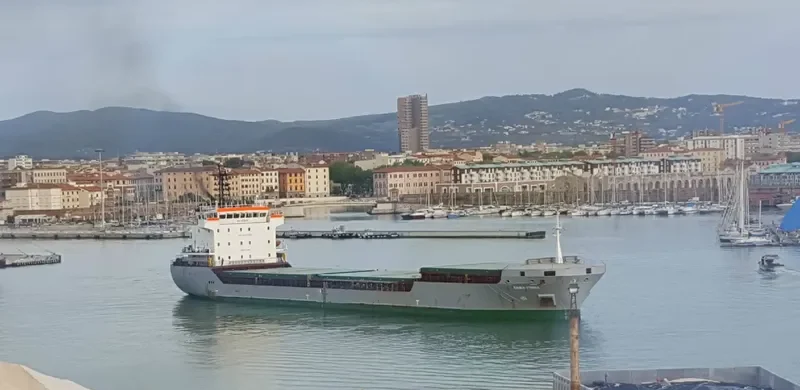 LUCITA General Cargo IMO 9338113 photo 3