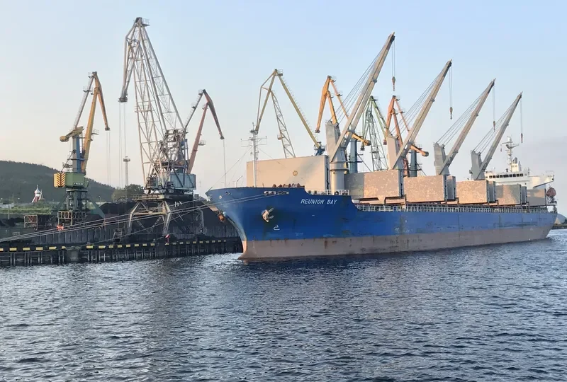 REUNION BAY General Cargo IMO 9338137