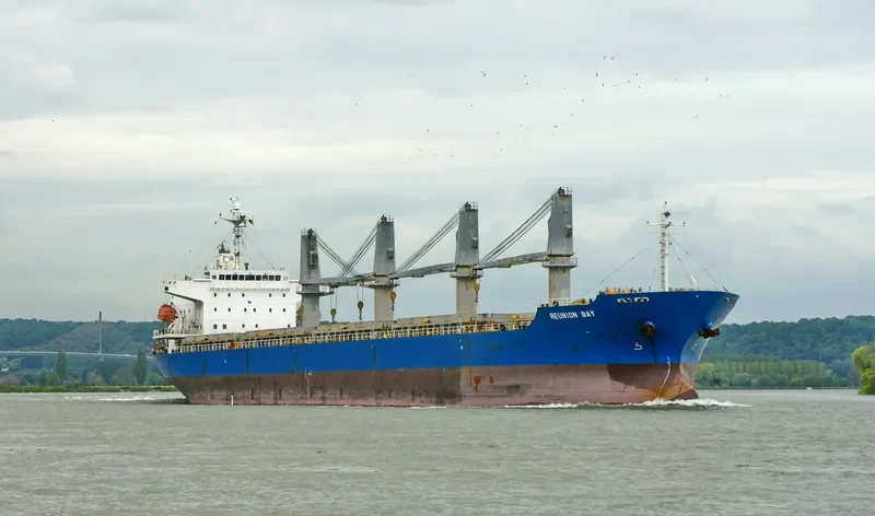 REUNION BAY General Cargo IMO 9338137 photo 3