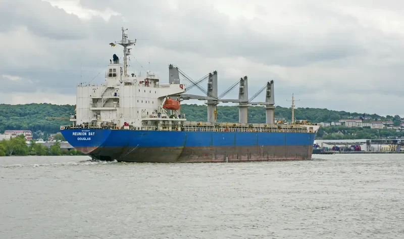 REUNION BAY General Cargo IMO 9338137 photo 4