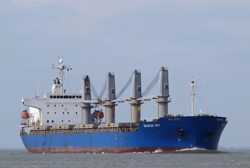 REUNION BAY General Cargo IMO 9338137 photo 8
