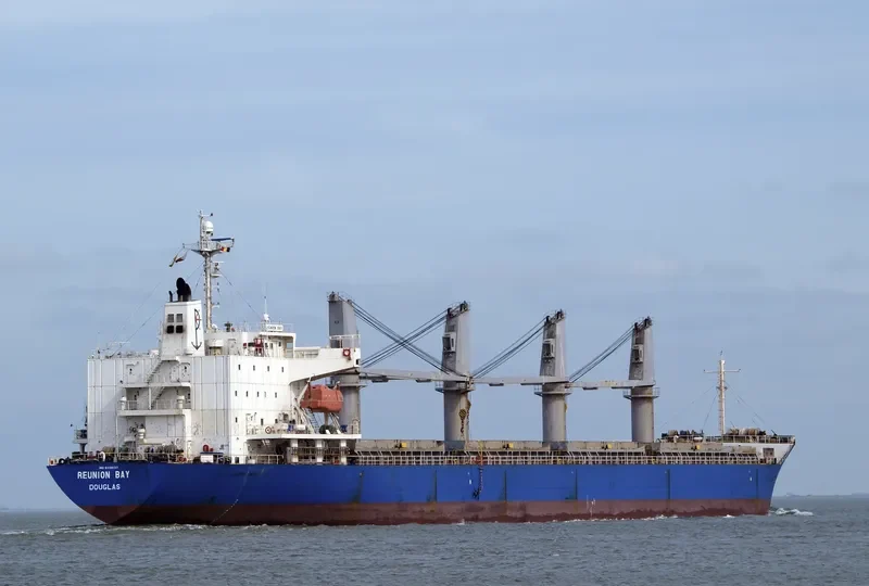 REUNION BAY General Cargo IMO 9338137 photo 9