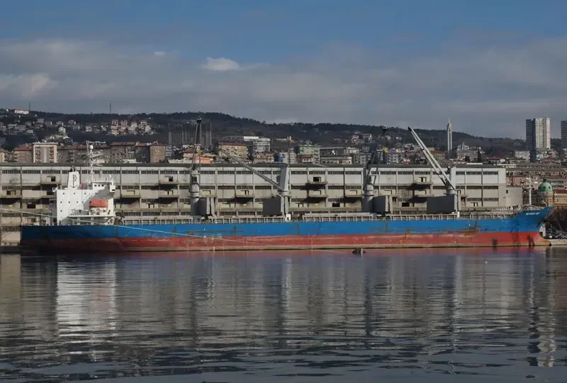 REUNION BAY General Cargo IMO 9338137 photo 10