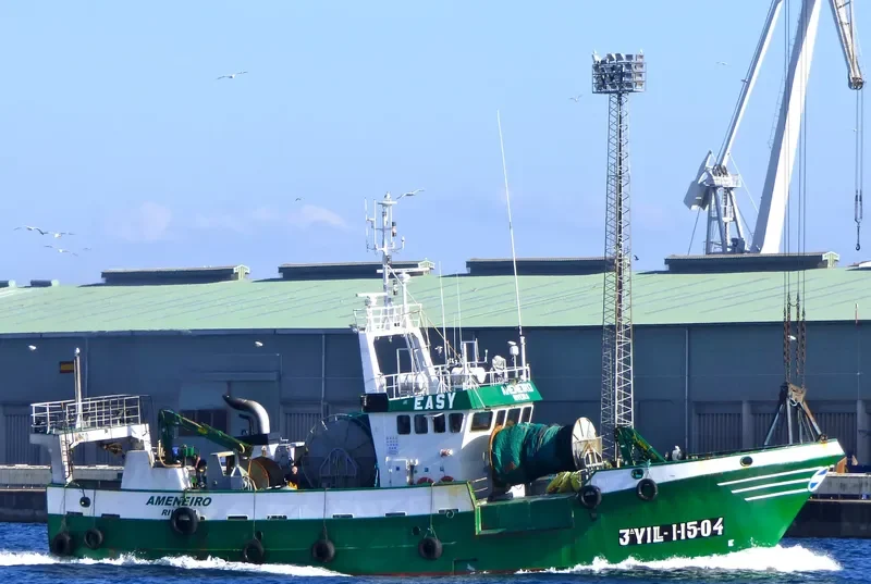 AMENEIRO General Cargo IMO 9338371 photo 8