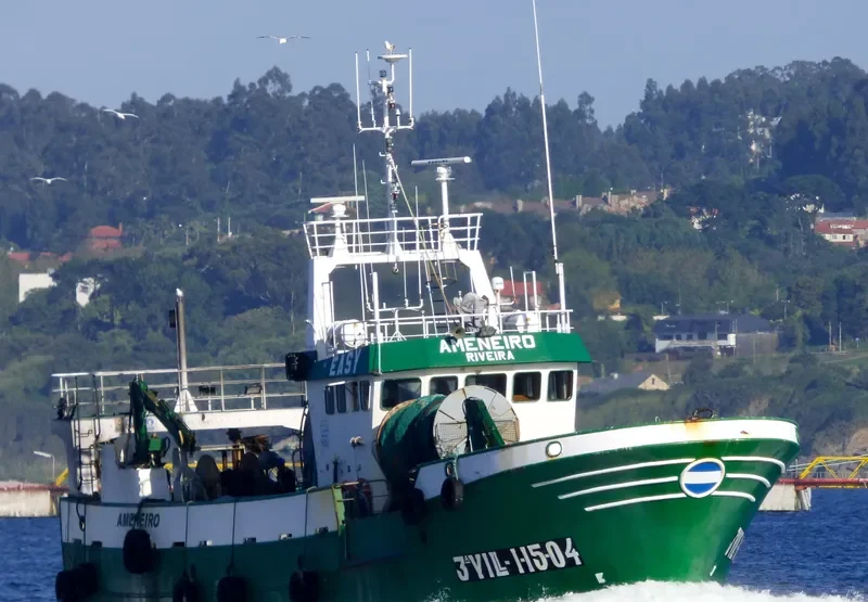 AMENEIRO General Cargo IMO 9338371 photo 9