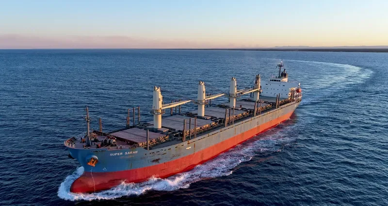 BLUE BALESTIER Bulk Carrier IMO 9338539 photo 2