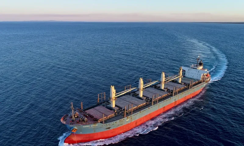 BLUE BALESTIER Bulk Carrier IMO 9338539 photo 3