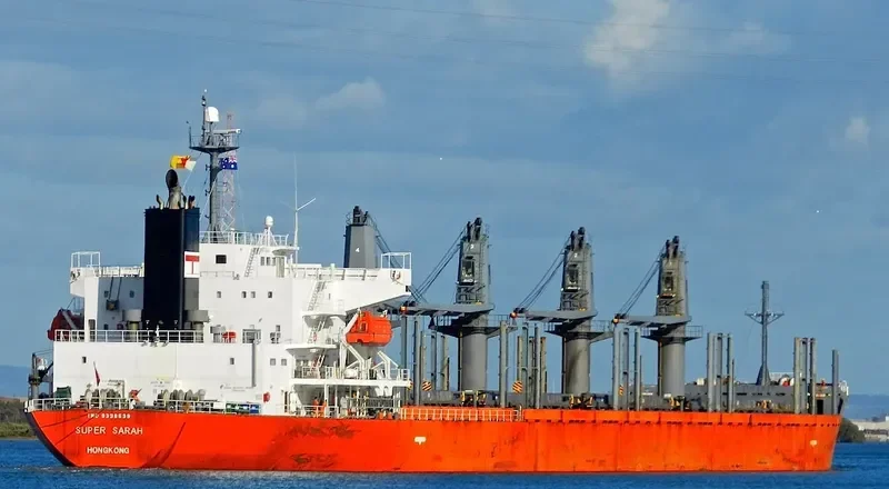 BLUE BALESTIER Bulk Carrier IMO 9338539 photo 9