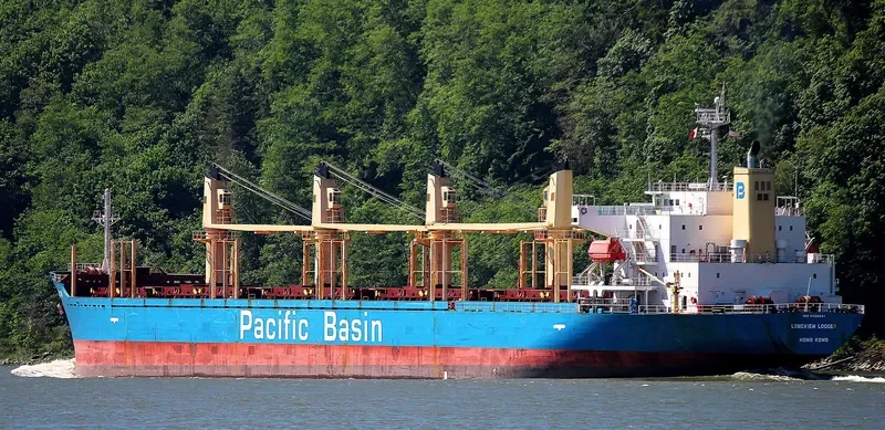 LONGVIEW LOGGER Bulk Carrier IMO 9338541 photo 2