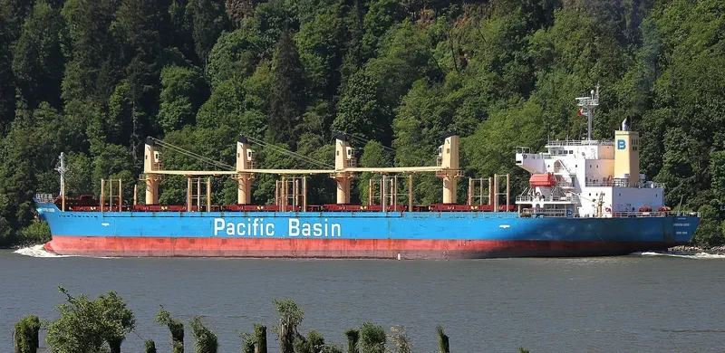 LONGVIEW LOGGER Bulk Carrier IMO 9338541 photo 3