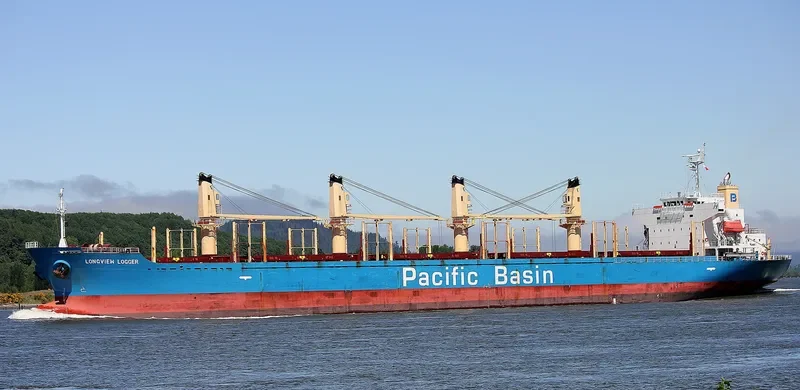 LONGVIEW LOGGER Bulk Carrier IMO 9338541 photo 4
