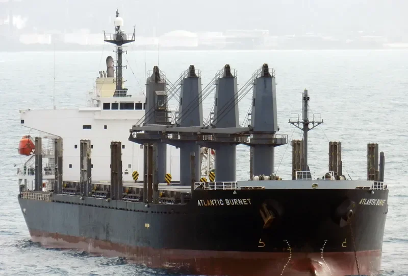 LONGVIEW LOGGER Bulk Carrier IMO 9338541 photo 5