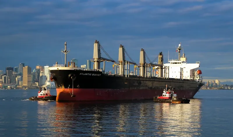 LONGVIEW LOGGER Bulk Carrier IMO 9338541 photo 6
