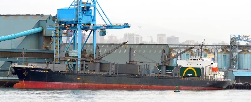 LONGVIEW LOGGER Bulk Carrier IMO 9338541 photo 8