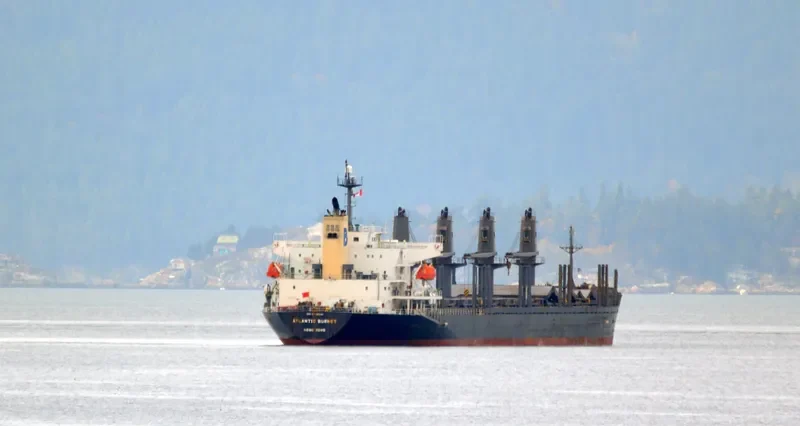LONGVIEW LOGGER Bulk Carrier IMO 9338541 photo 9