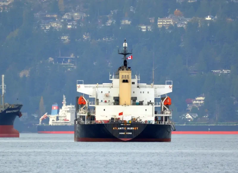 LONGVIEW LOGGER Bulk Carrier IMO 9338541 photo 10