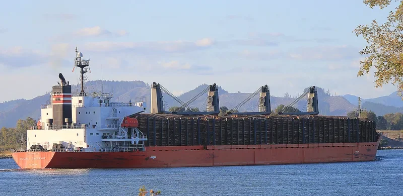 HAI PHUONG STAR Bulk Carrier IMO 9338553 photo 4