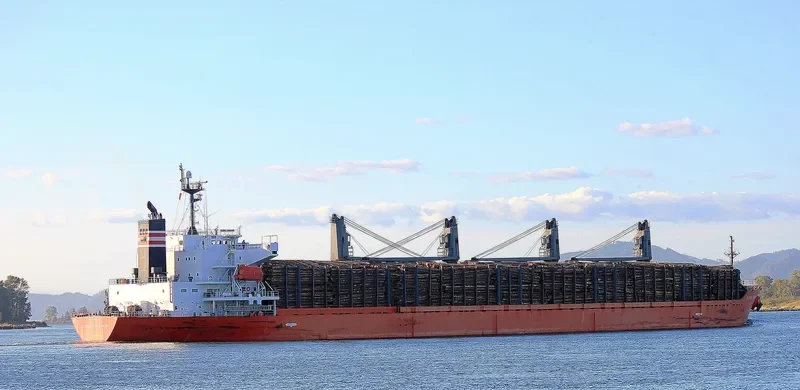 HAI PHUONG STAR Bulk Carrier IMO 9338553 photo 5