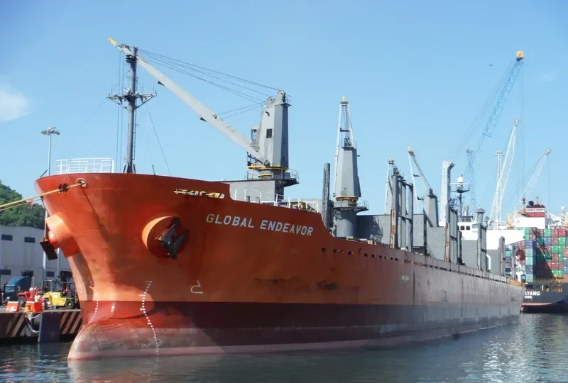 HAI PHUONG STAR Bulk Carrier IMO 9338553 photo 7