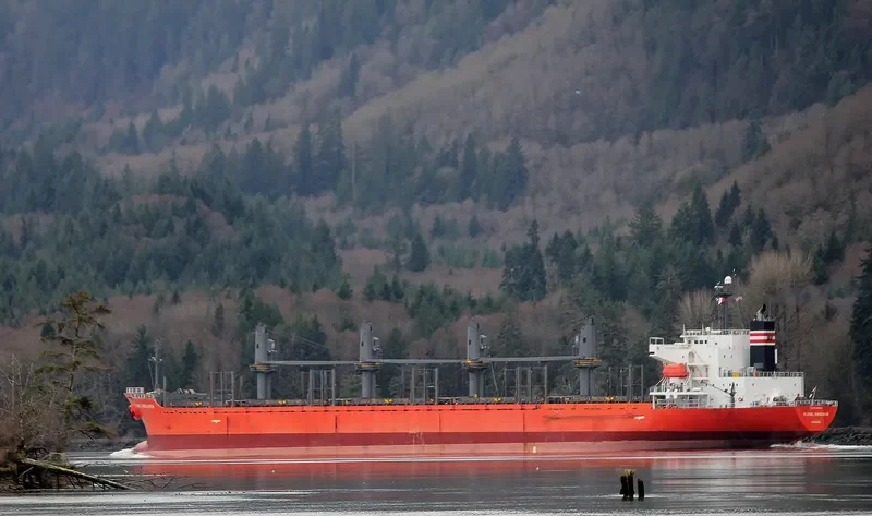 HAI PHUONG STAR Bulk Carrier IMO 9338553 photo 10