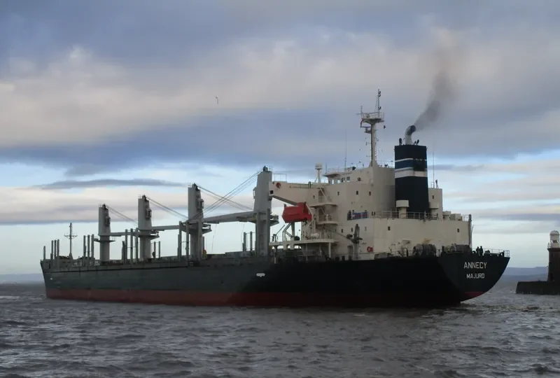 MANTA HATICE Bulk Carrier IMO 9338565 photo 2