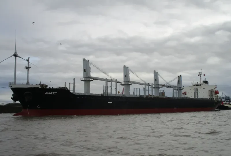MANTA HATICE Bulk Carrier IMO 9338565 photo 3