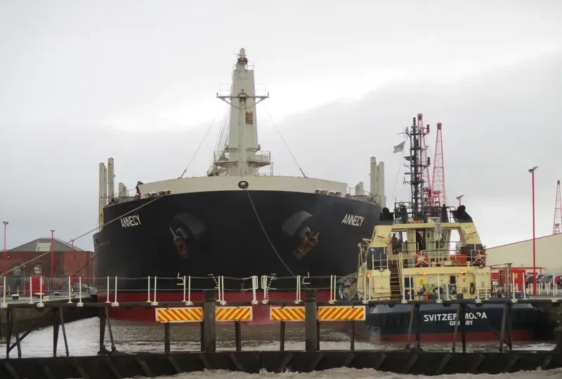 MANTA HATICE Bulk Carrier IMO 9338565 photo 4