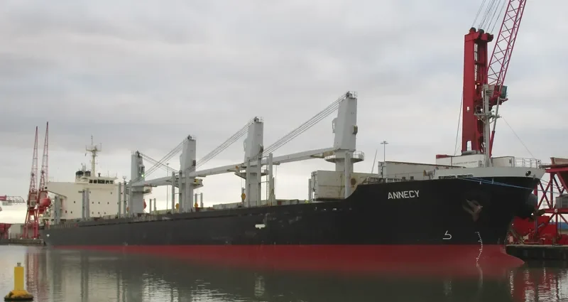 MANTA HATICE Bulk Carrier IMO 9338565 photo 5