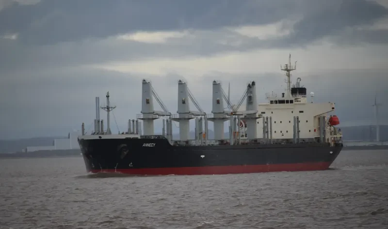 MANTA HATICE Bulk Carrier IMO 9338565 photo 6
